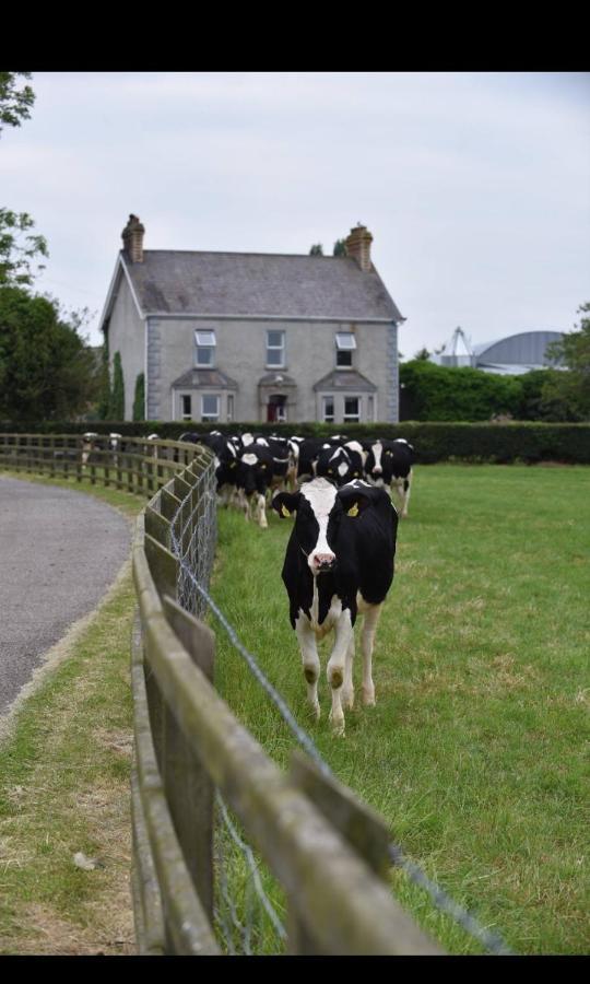 كروملين Ballyginniff Farm House المظهر الخارجي الصورة